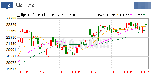 2022.09.29-今日猪价