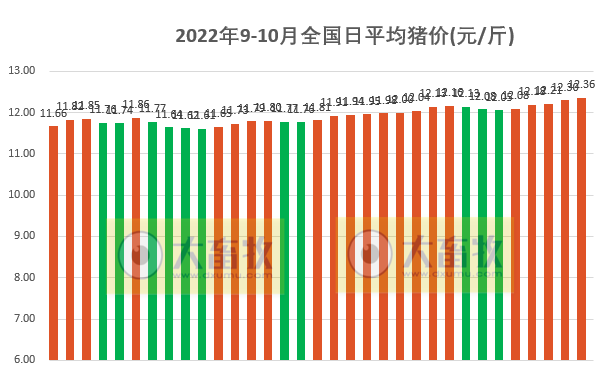 2022.10.03-今日猪价,五连涨,广东上涨至13.2元