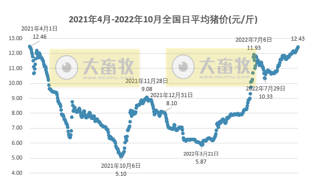 2022.10.04-今日猪价,全面涨!