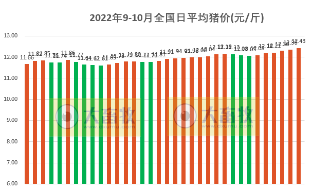 2022.10.04-今日猪价,全面涨!