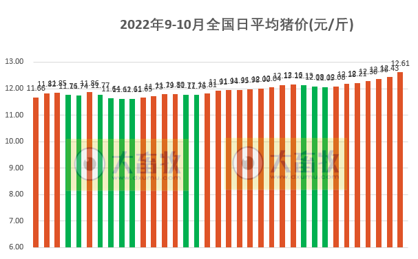 2022.10.05-今日猪价上涨,13省冲破13元