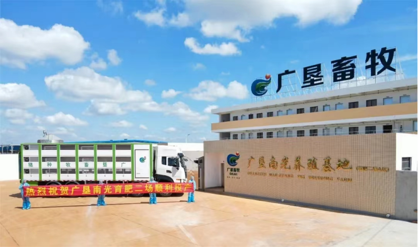 广垦畜牧冲刺IPO，十年后生猪产能达到千万级别
