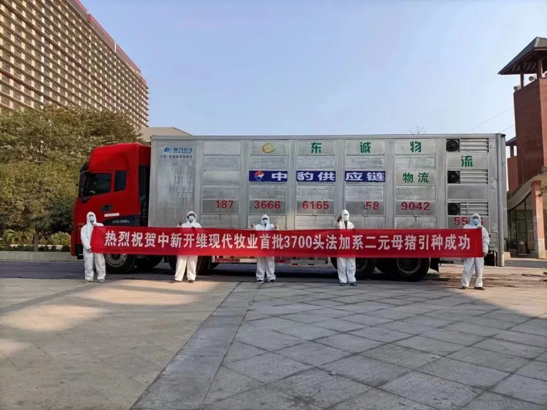 引种3700头，世界最高、单体最大的26层楼房猪场正式投产