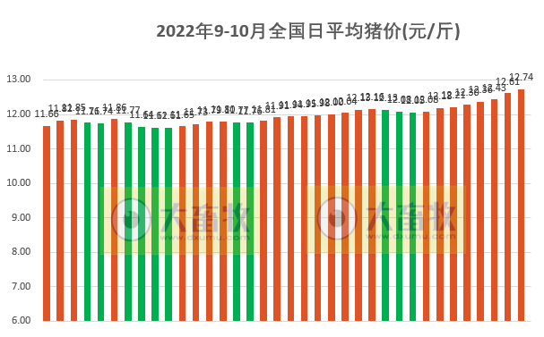 2022.10.06-今日猪价,8连涨,17省冲破13元