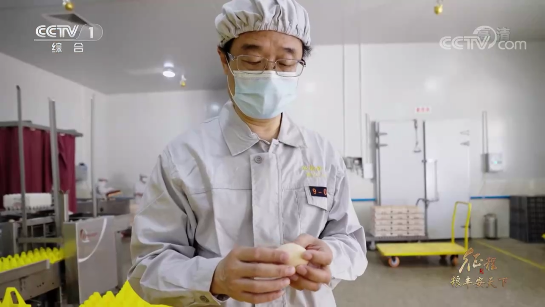 在鸡肉问题上，我们把饭碗端在了自己的手里——大型纪录片《征程》之白羽肉鸡篇