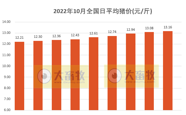 2022.10.09-今日猪价继续上涨,广东突破14元