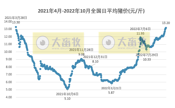 2022.10.10-今日猪价