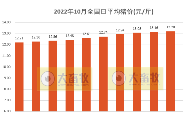 2022.10.10-今日猪价