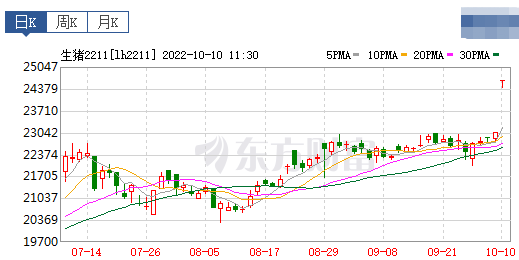 2022.10.10-今日猪价