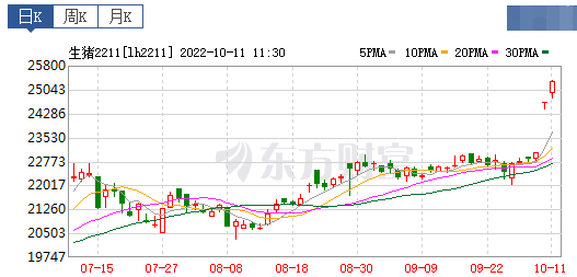 2022.10.11-今日猪价