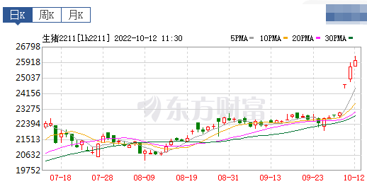 2022.10.12-今日猪价