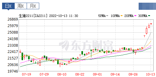 2022.10.13-今日猪价，连涨15天，5省突破14元