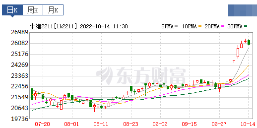 2022.10.14-今日猪价全面飘红,21省突破14元