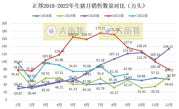 正邦科技:前三季度生猪销量超700万头同减41%,仔猪销量同增121%