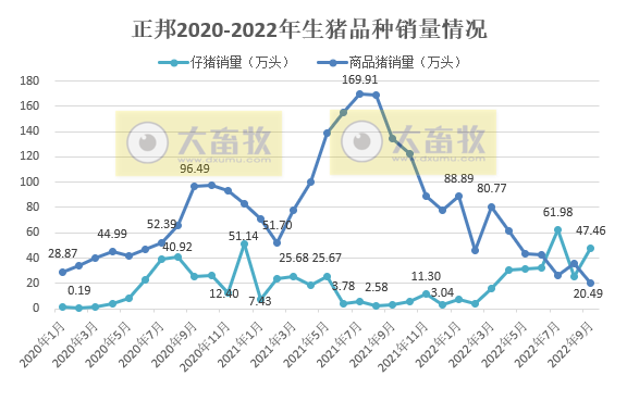 正邦科技:前三季度生猪销量超700万头同减41%,仔猪销量同增121%