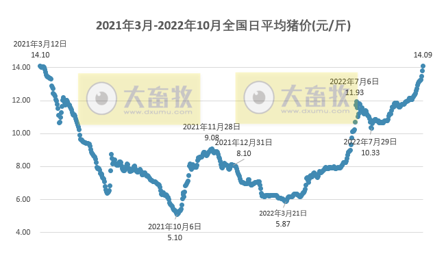 2022.10.15-今日猪价继续全面飘红,全国均价突破14元