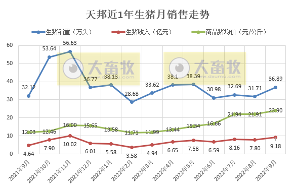 天邦食品:前三季度生猪销量超300万头,收入超60亿元,但仍然处于亏损