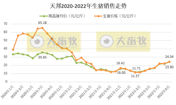 天邦食品:前三季度生猪销量超300万头,收入超60亿元,但仍然处于亏损