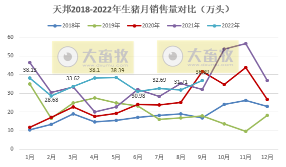 天邦食品:前三季度生猪销量超300万头,收入超60亿元,但仍然处于亏损