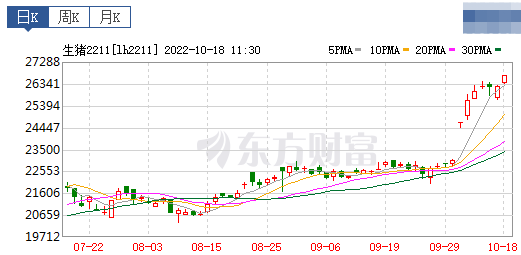 2022.10.18今日猪价，连降3天
