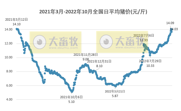 2022.10.19今日猪价,一夜翻红