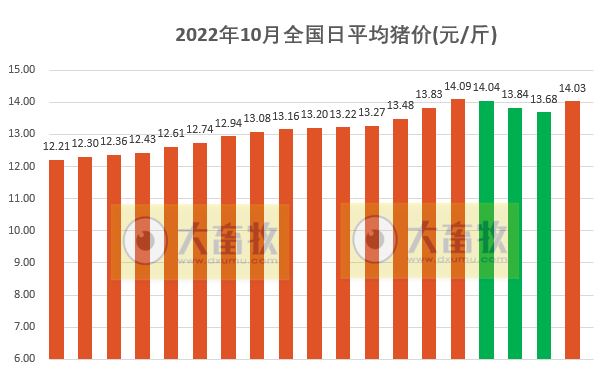 2022.10.19今日猪价,一夜翻红