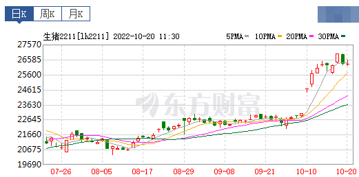 2022.10.20今日猪价,继续飘红