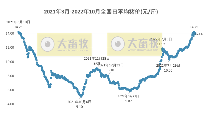 2022.10.24今日猪价