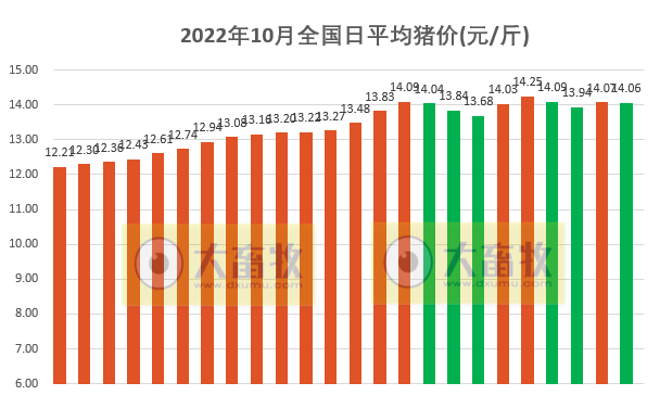 2022.10.24今日猪价