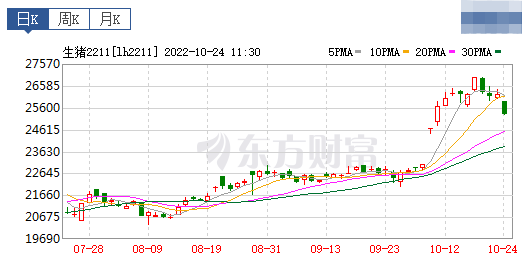 2022.10.24今日猪价