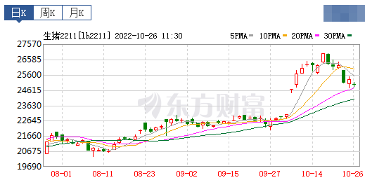 2022.10.26今日猪价,连降3天