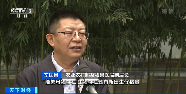 调控成效显现，生猪价格稳步下滑，国办：稳定生猪产能，防范生猪生产和猪肉价格出现大的波动