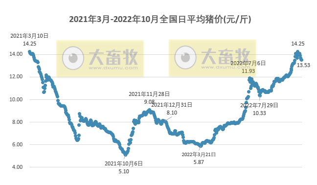 2022.10.28今日猪价