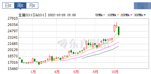 2022.10.30今日猪价，全面下跌，22省跌破13元
