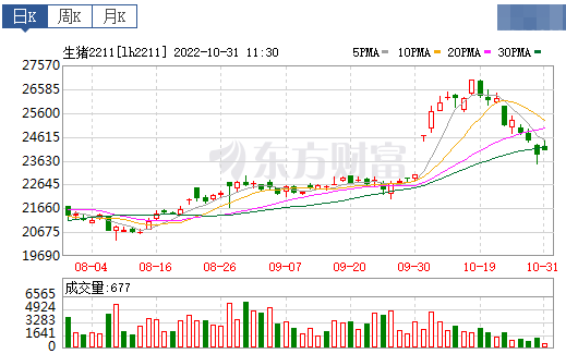 2022.10.31今日猪价