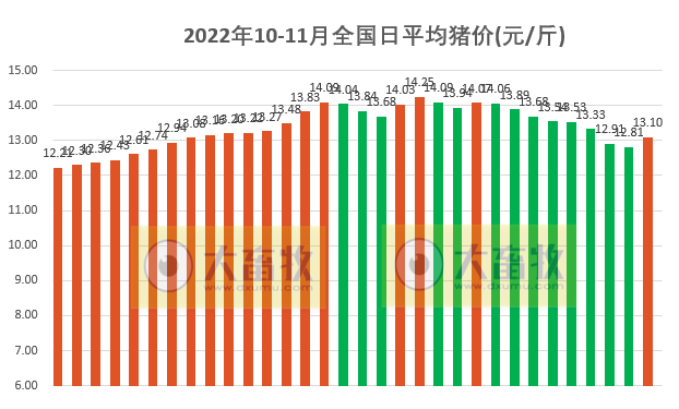 2022.11.01今日猪价,止跌回升,11月迎来开门红