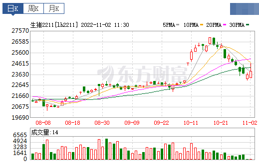 2022.11.02今日猪价