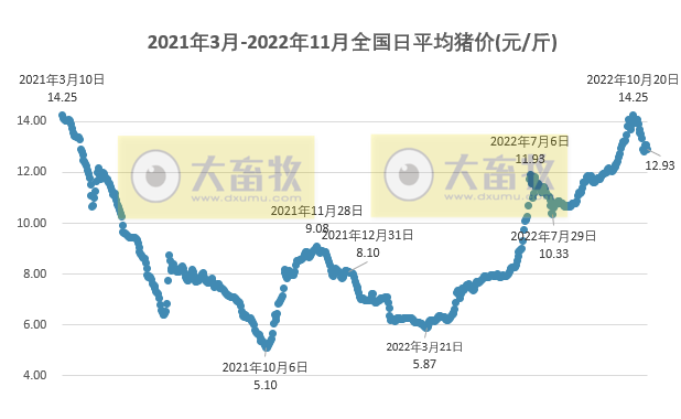 2022.11.03今日猪价