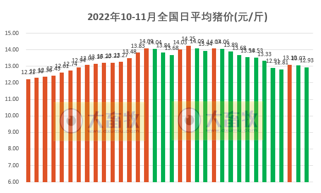 2022.11.03今日猪价