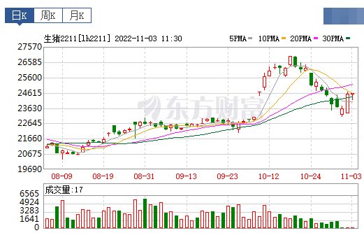 2022.11.03今日猪价