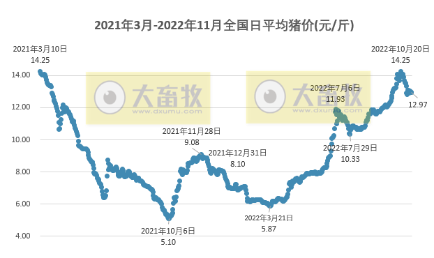 2022.11.07今日猪价