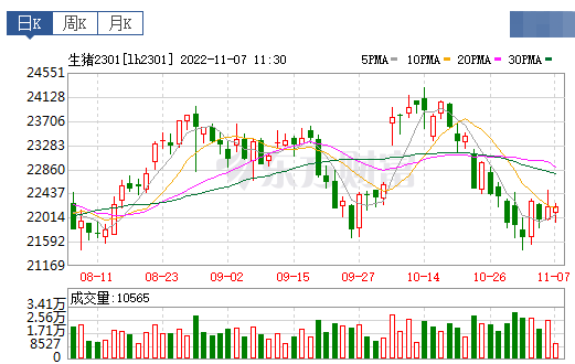 2022.11.07今日猪价
