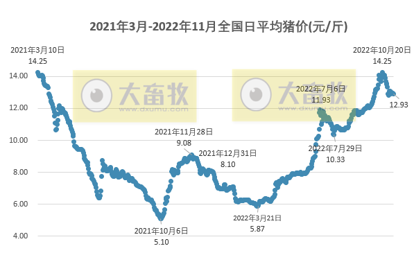 2022.11.08今日猪价