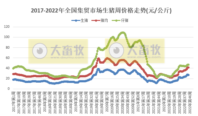 生猪产品下降，饲料继续创新高——农业农村部发布2022年11月第1周畜牧业产品价格及走势