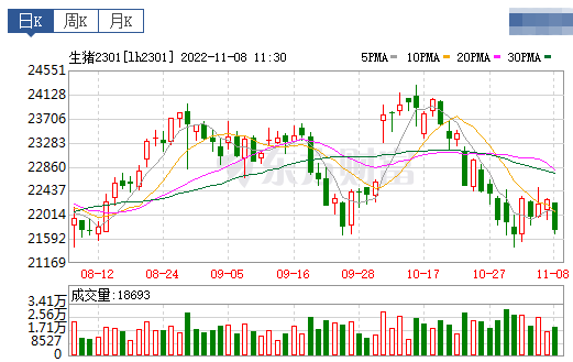 2022.11.08今日猪价