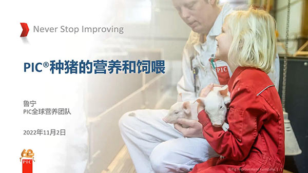 鲁宁：PIC种猪的营养和饲喂