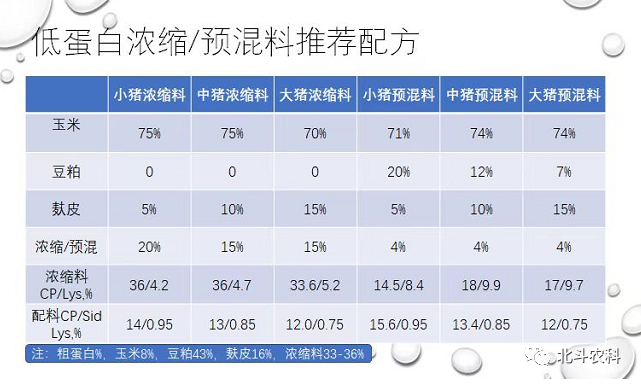 吴昌征博士 :低蛋白日粮技术的机遇、挑战和思考