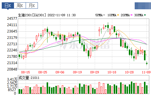 2022.11.09今日猪价,全面飘绿