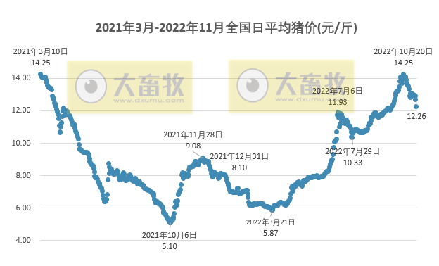 2022.11.10今日猪价，多省2天下降1元