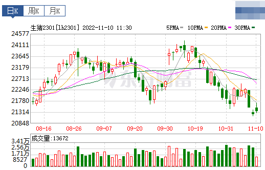 2022.11.10今日猪价，多省2天下降1元